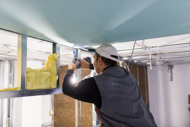 Best Local Insulation Services  in Wesley Hills, NY