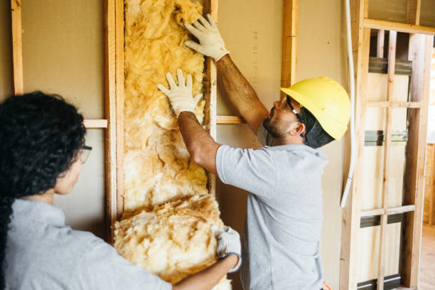 Best Cellulose Insulation  in Wesley Hills, NY