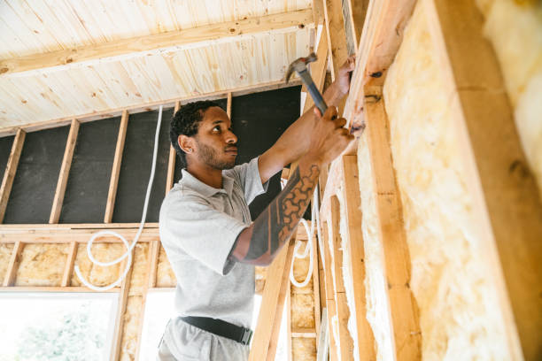Best Insulation for New Construction  in Wesley Hills, NY