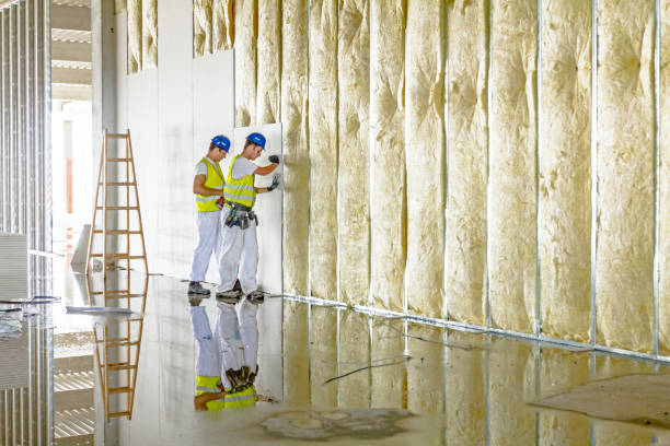 Best Home Insulation Services  in Wesley Hills, NY